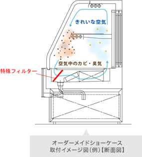 オーダーメイドショーケース 取付イメージ図(例)【断面図】