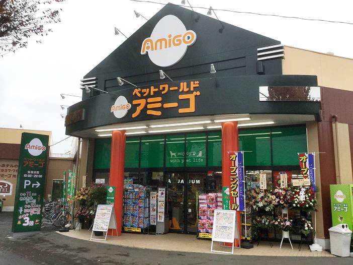 制作事例：ペットショップアミーゴ 所沢牛沼店｜株式会社ラックランド