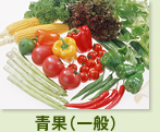 青果(一般)